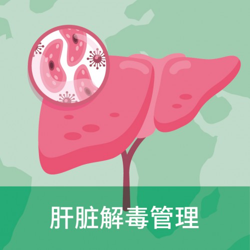 肝脏解毒管理