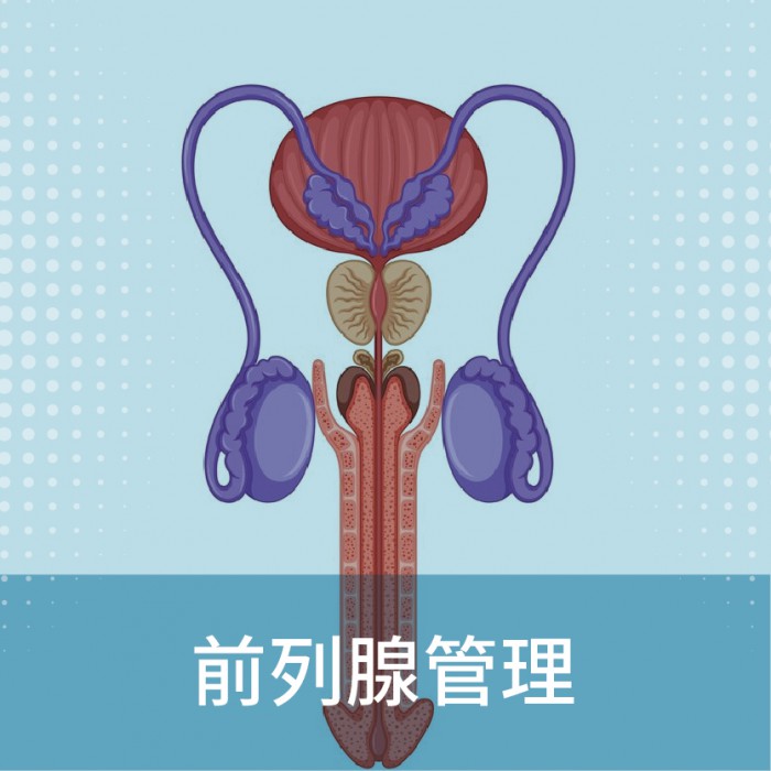 前列腺管理