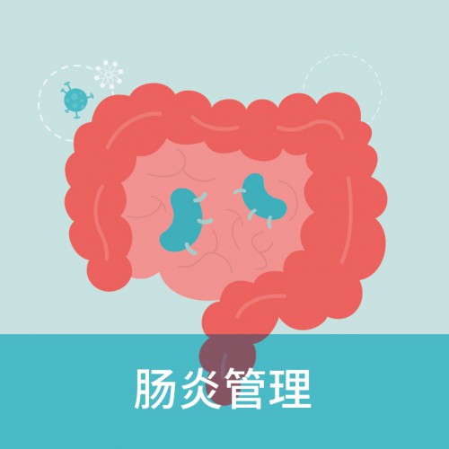 肠炎管理