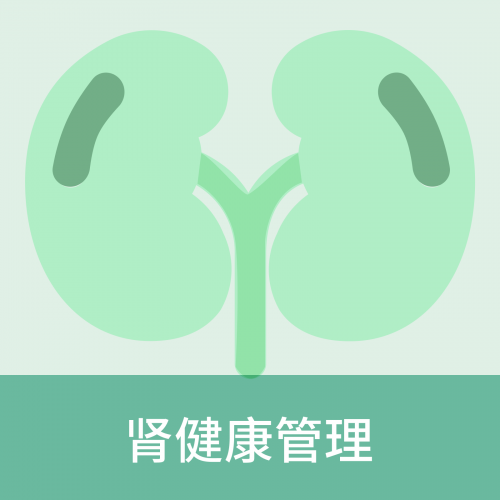 肾健康管理