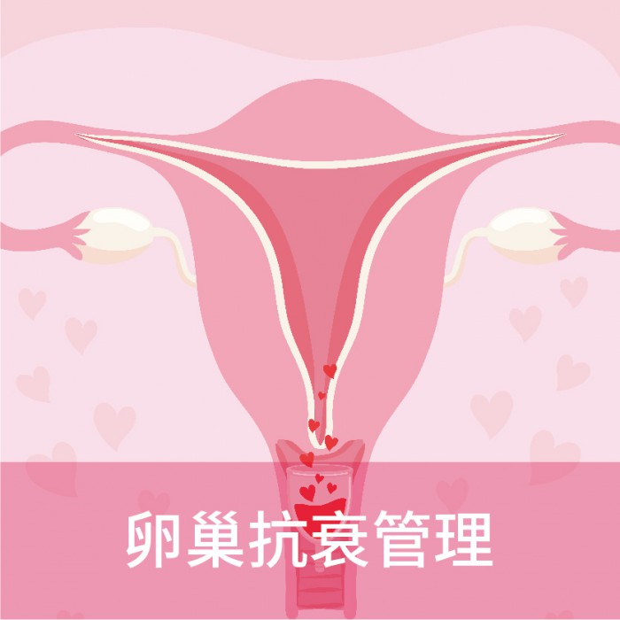 卵巢抗衰老管理
