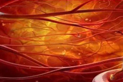 Extracorporeal Lipoprotein Clearing Center