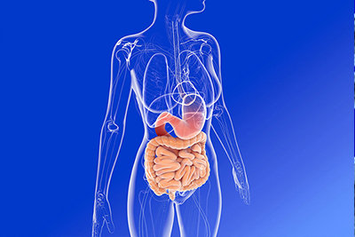 Whole gut microbiota transplantation center