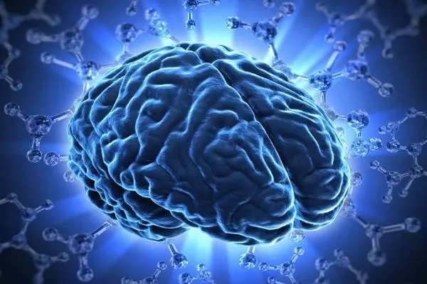 Brain Science Center