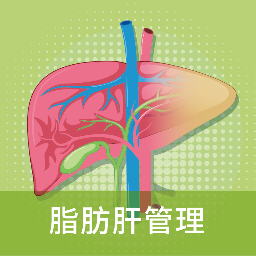 Fatty liver management