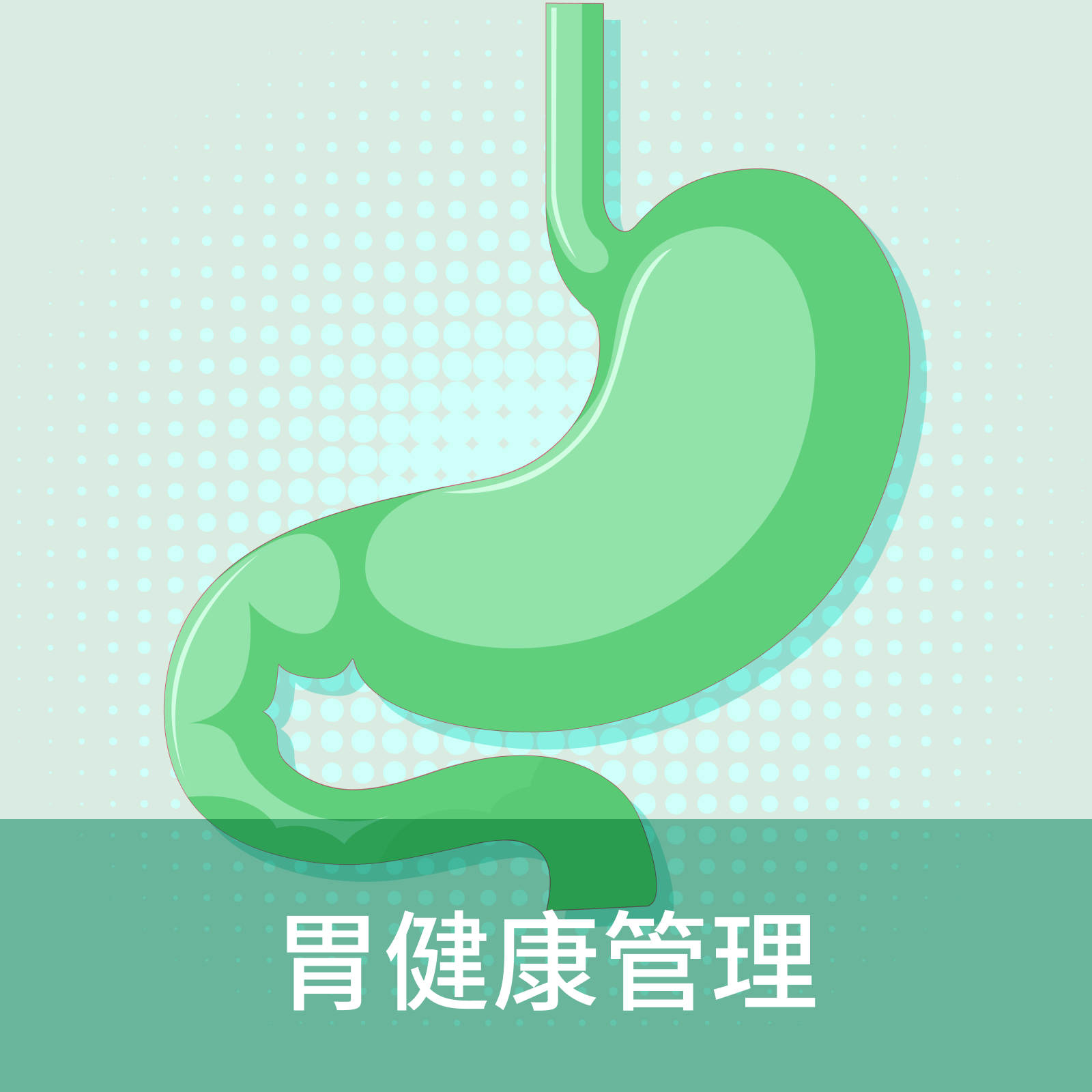 Gastric Health Management