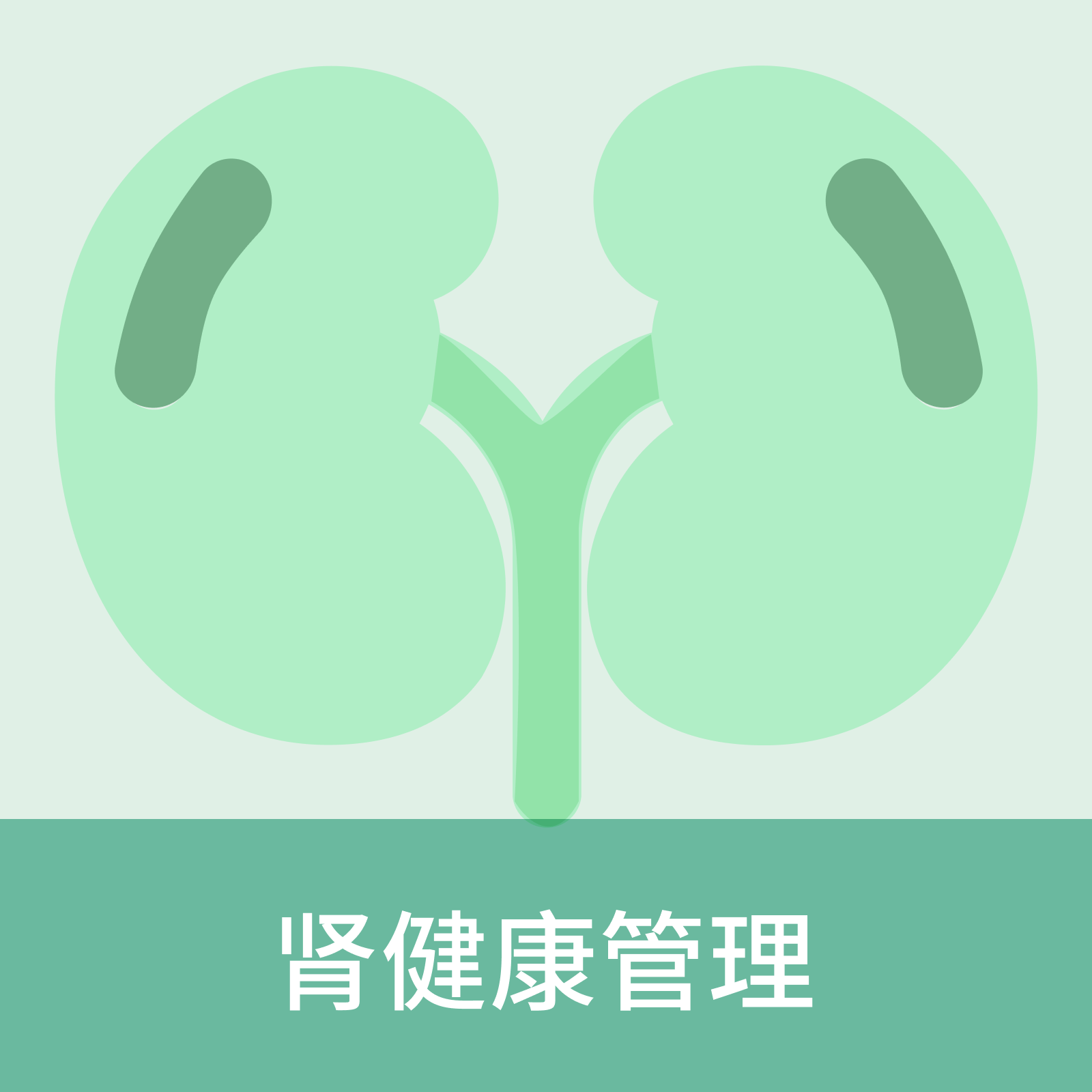 Renal Health Management